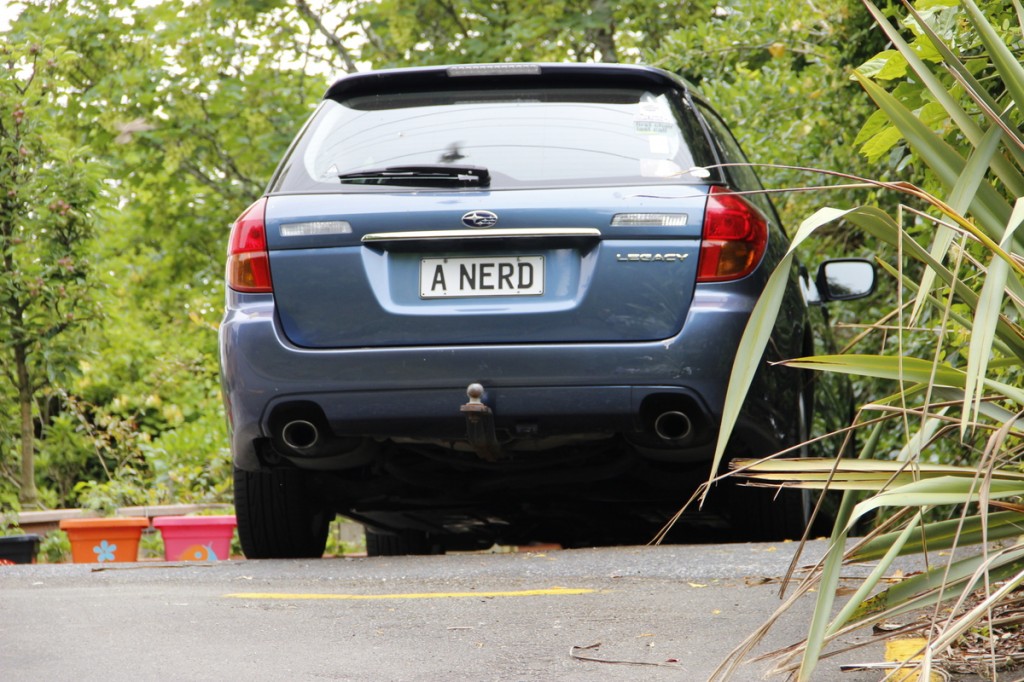 Kiwi aus der Nachbarschaft