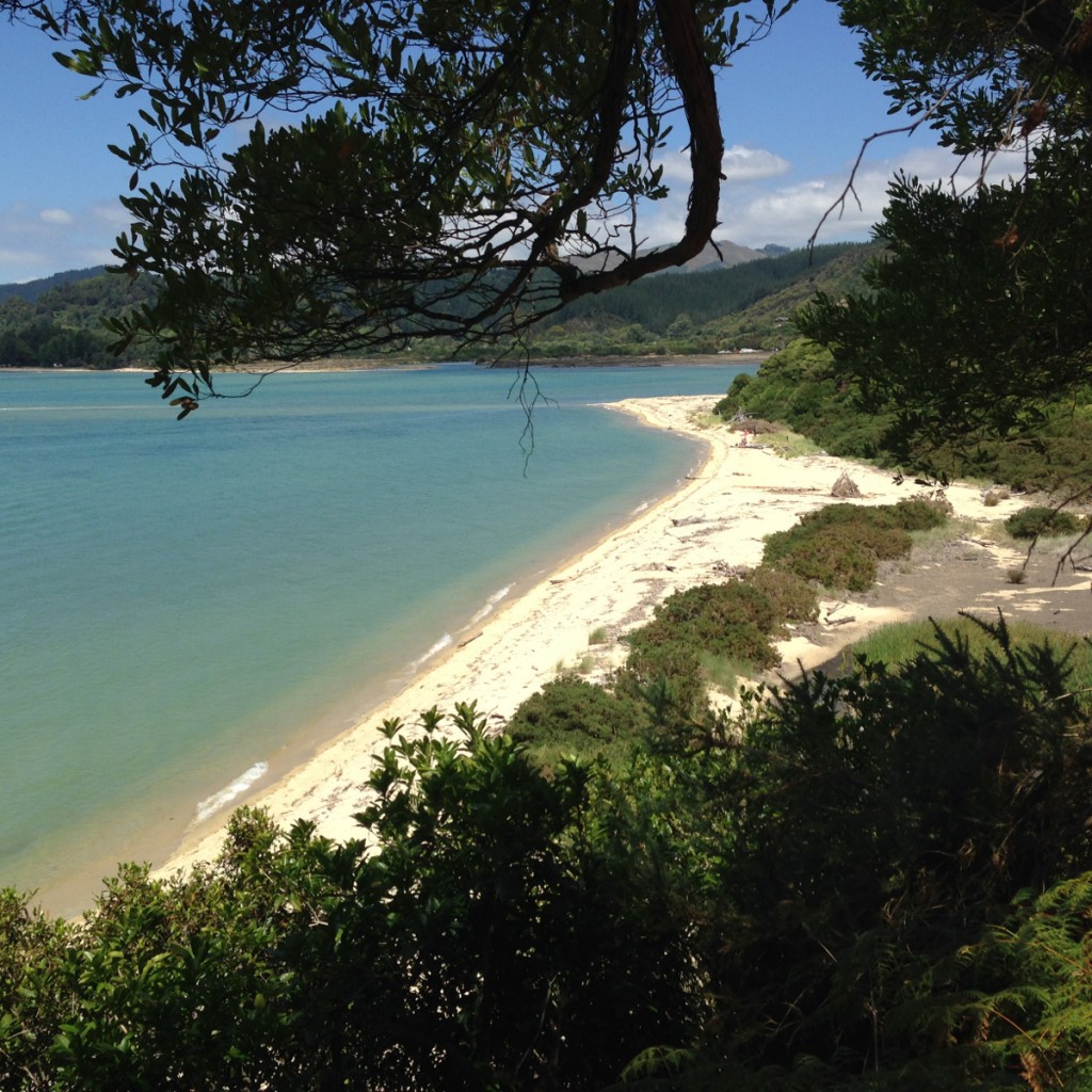 Ich hab natürlich doch ein Bild mit dem Handy gemacht..