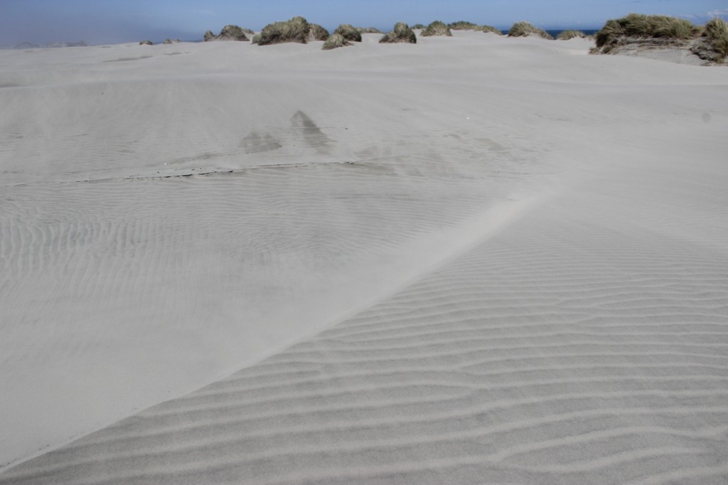 Farwell Spit ist eine riesige Wanderdüne am Nordende der Südinsel