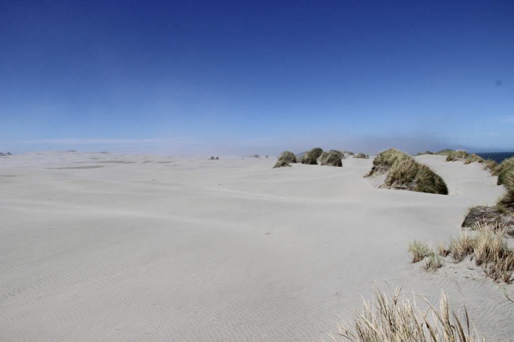 Sanddüne am Farewell Spit