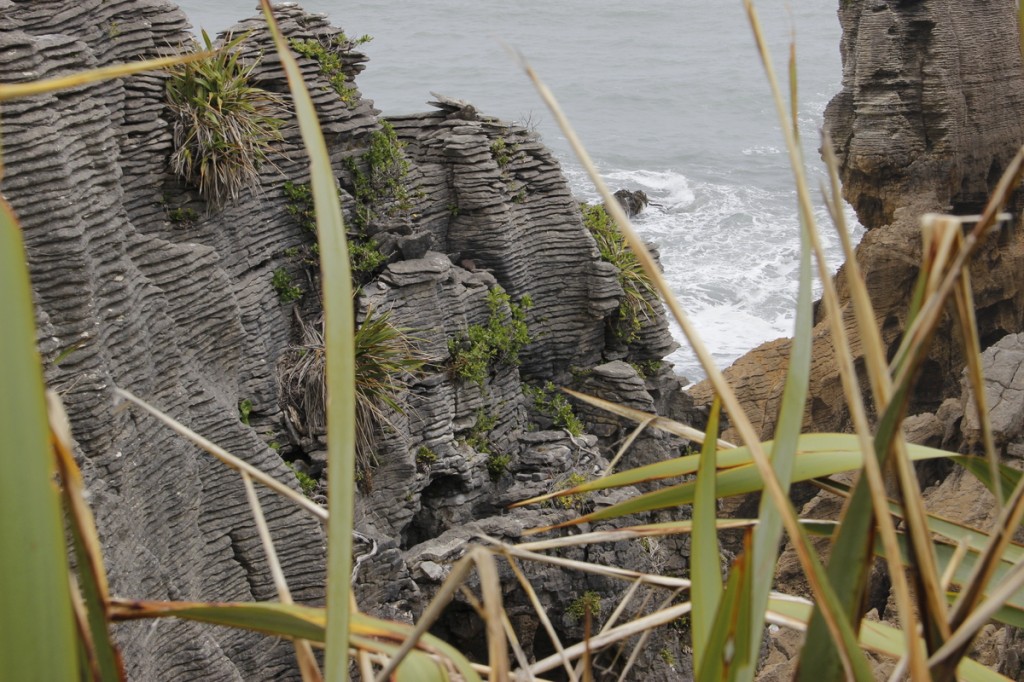Pancake Rocks an der Westküste