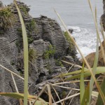Pancake Rocks an der Westküste