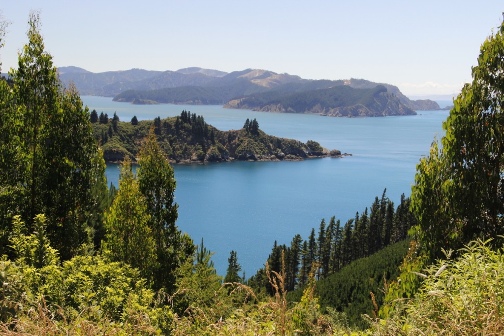 Marlborough Sounds (I)