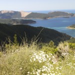Marlborough Sounds (II)