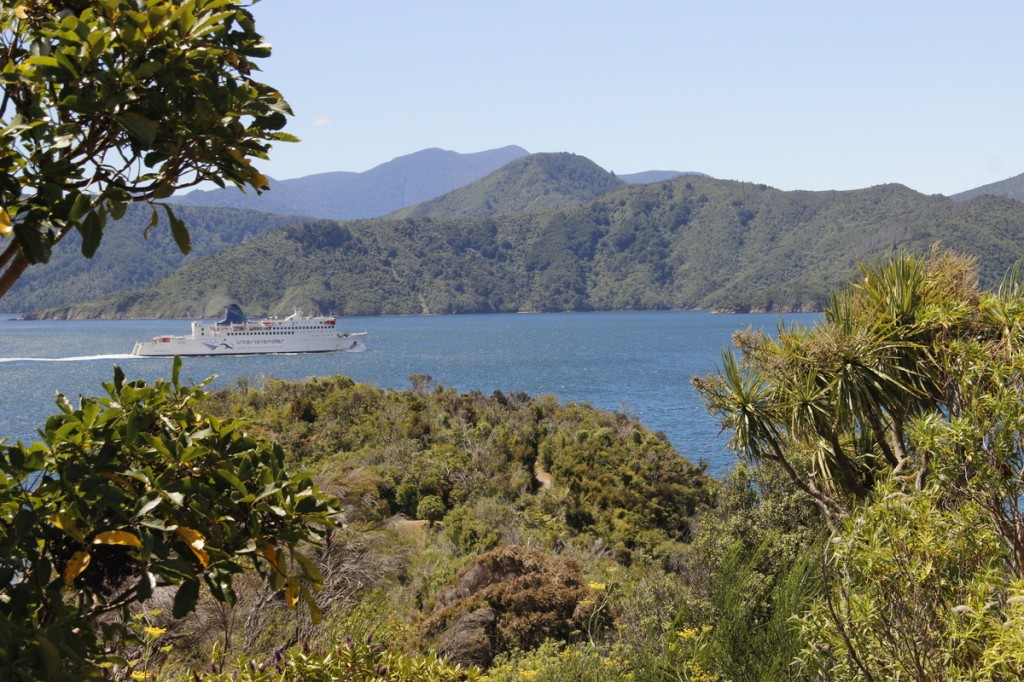 Marlborough Sounds (III)