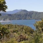 Marlborough Sounds (III)