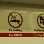 Das Bild ganz rechts ist keine Handgranate. Die Durian ist als Stinkfrucht berüchtigt.